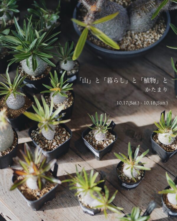 「山」と「暮らし」と「植物」と